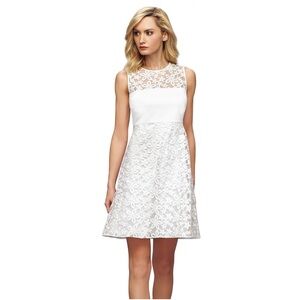 Calvin Klein floral organza lace shift dress ivory size 8